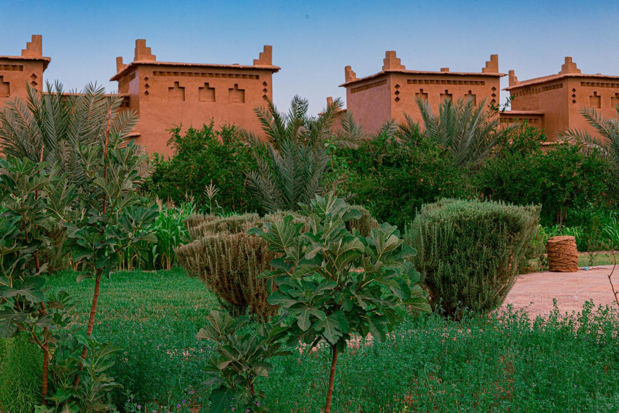 Maison D'Hote Amridil Skoura Luaran gambar